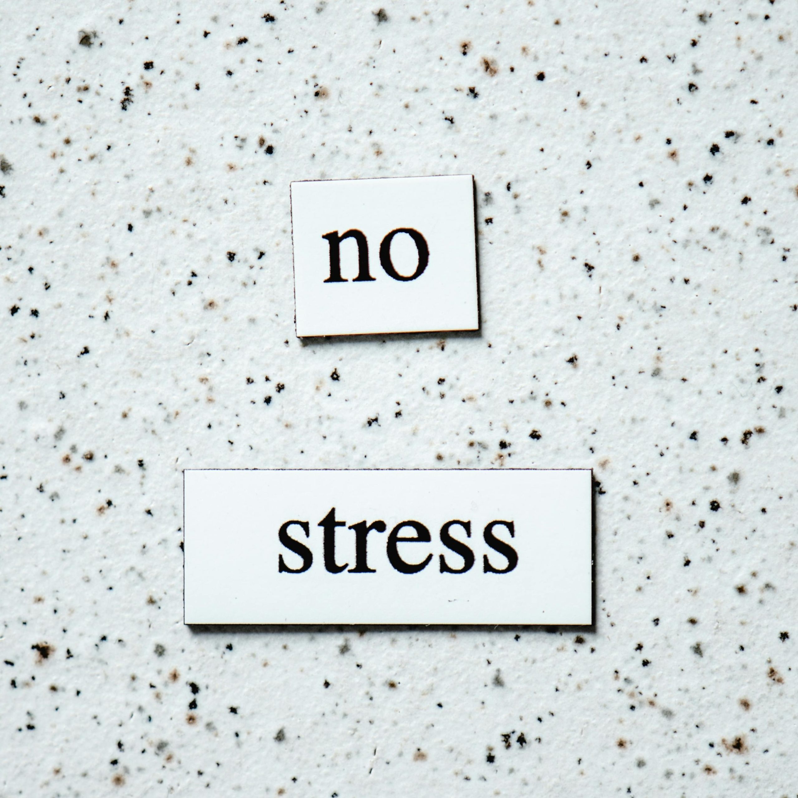 Stress-Free Construction in Los Angeles - Mardena's Approach - Mardena ...
