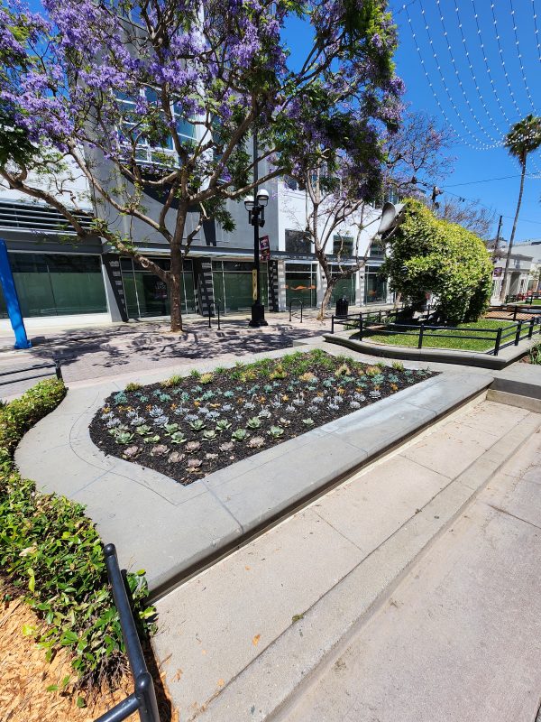 Commercial Project Management