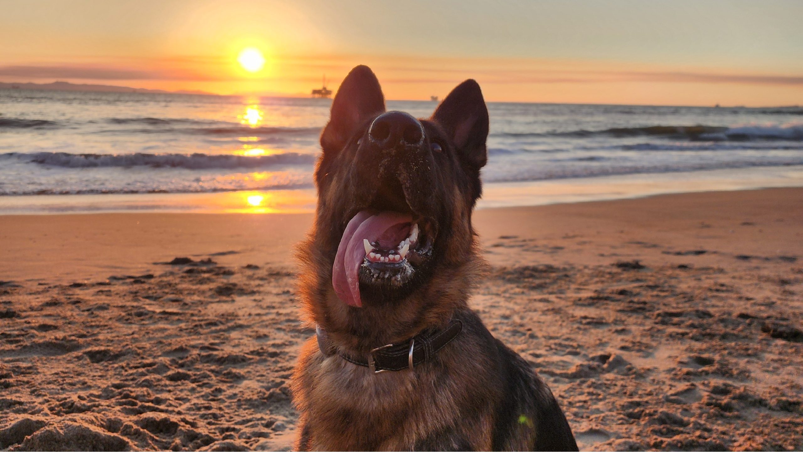 melsy sunset tounge - Copy