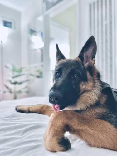 Melsy sticking her tongue at us, 